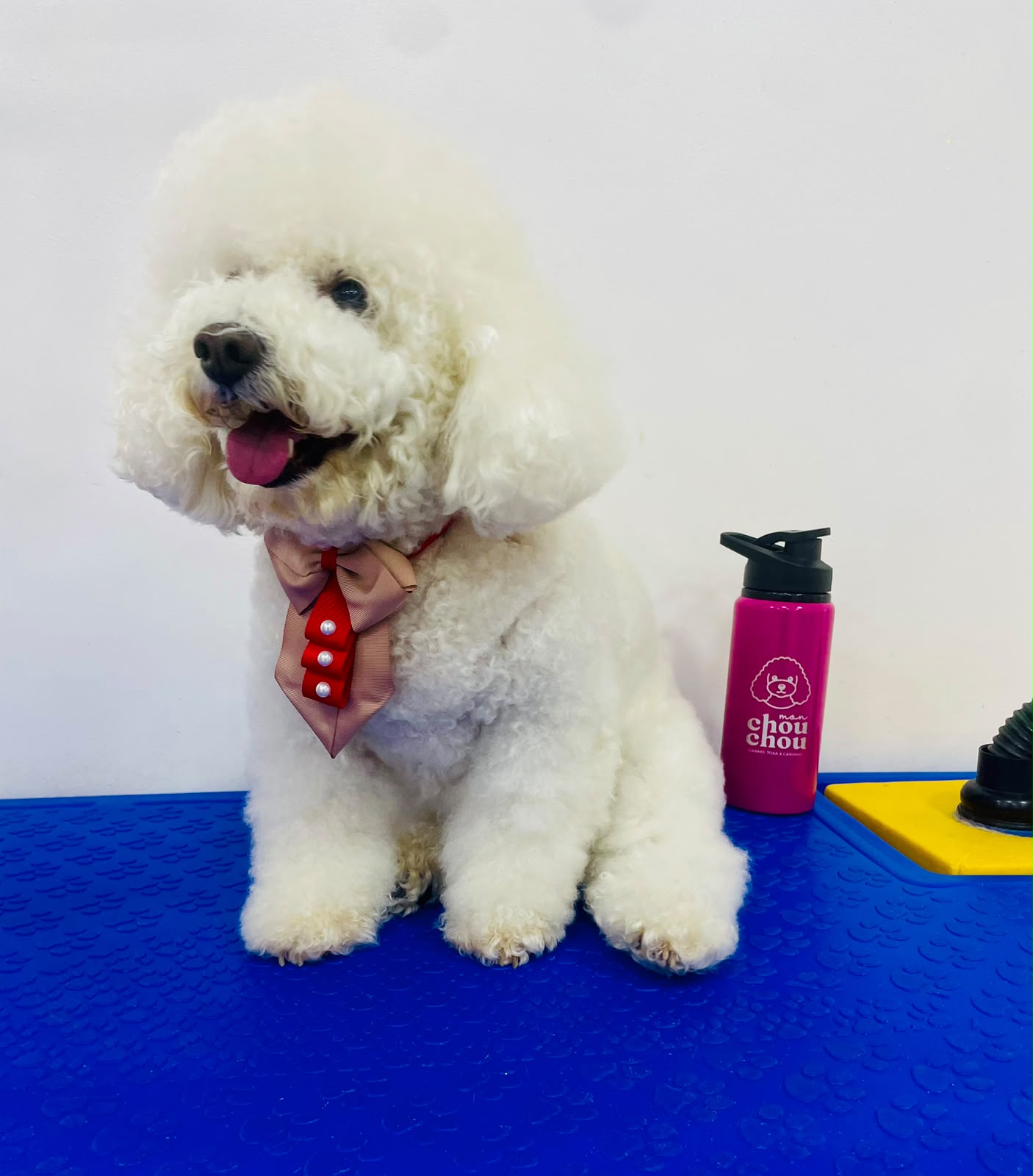 Pet atendido pela Mon Chou Chou — foto 13