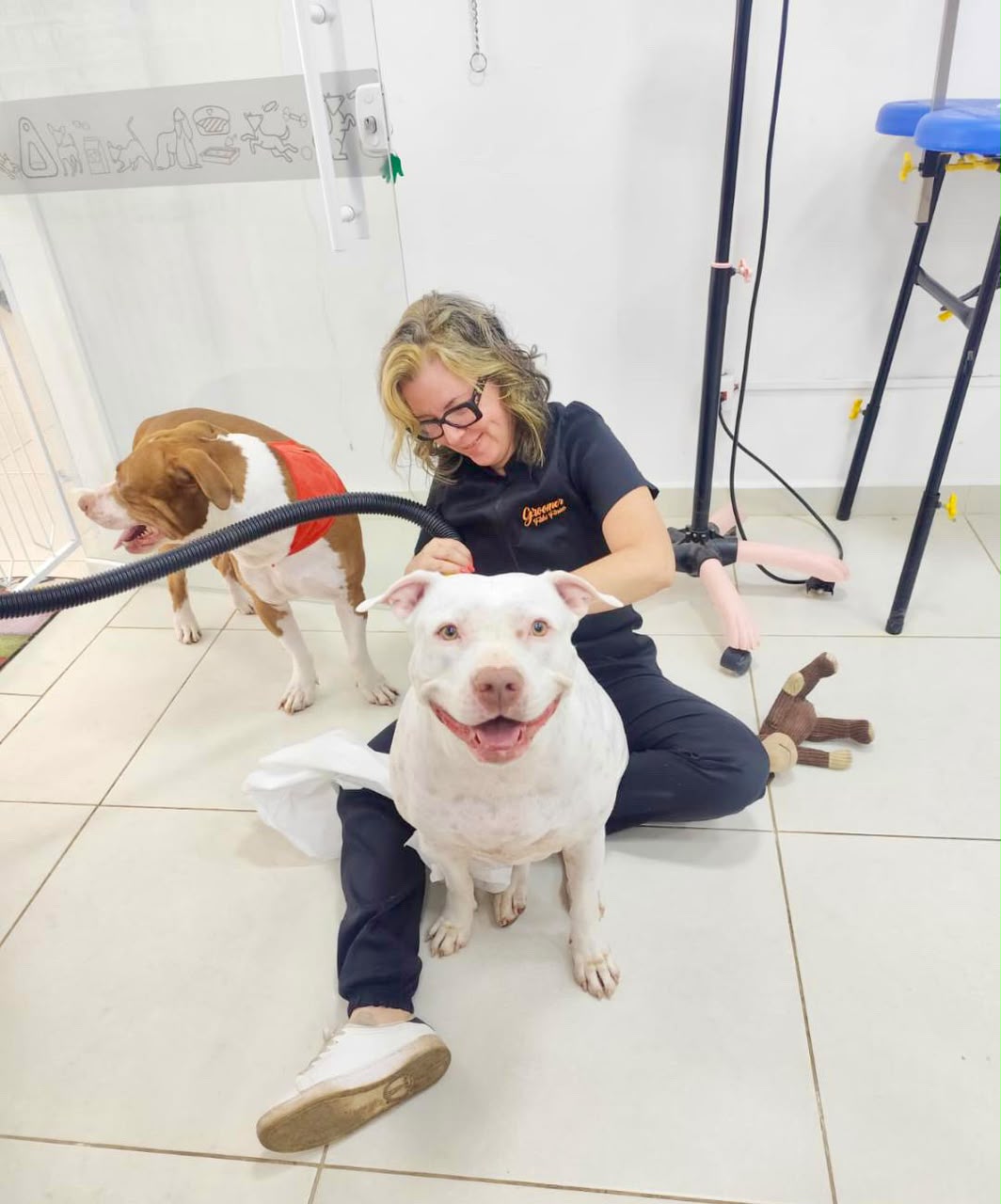 Pet atendido pela Mon Chou Chou — foto 18